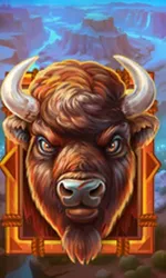 Buffalo Gold Canyon